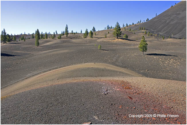 Painted Dunes 7542